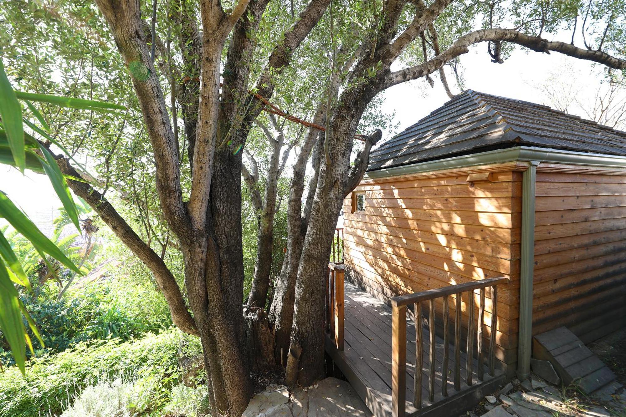 Mimi Calpe Bed & Breakfast Tanca Oda fotoğraf